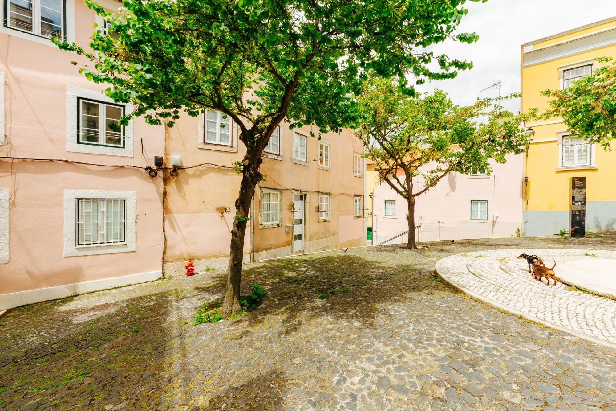 Rent4Rest Lisbon Downtown Tiny Studio Apartments * Lisbon